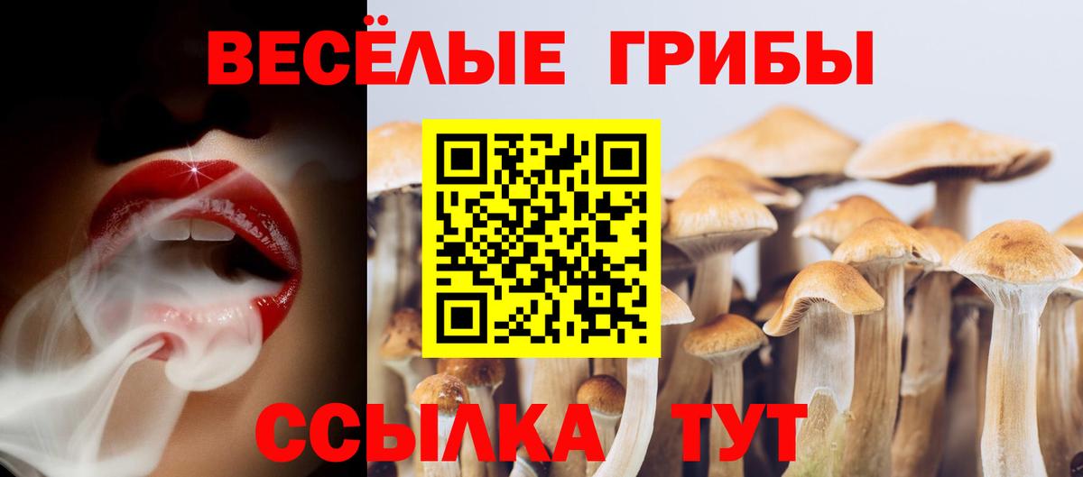 Галлюциногенные грибы мухоморы  Вход с VPN  Конаково 